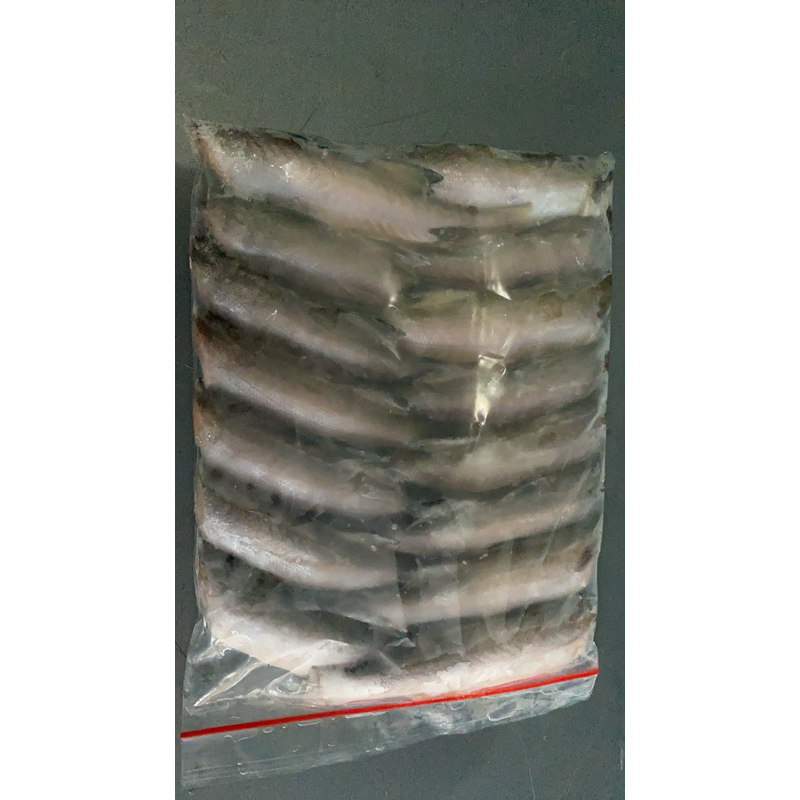 

ikan senangin mini panipahan