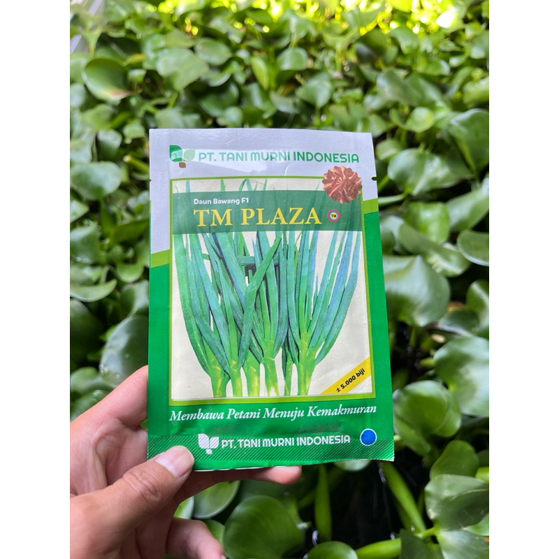 DAUN BAWANG F1 TM PLAZA KEMASAN KURANG LEBIH 5.000 BIJI