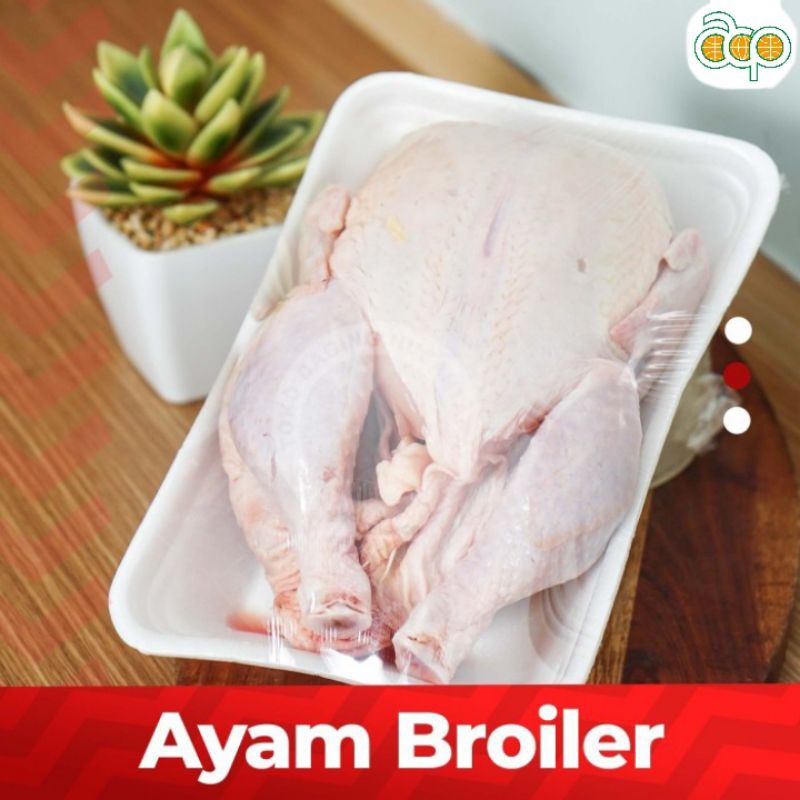

Ayam Karkas Segar 900-1.000gr/ekor