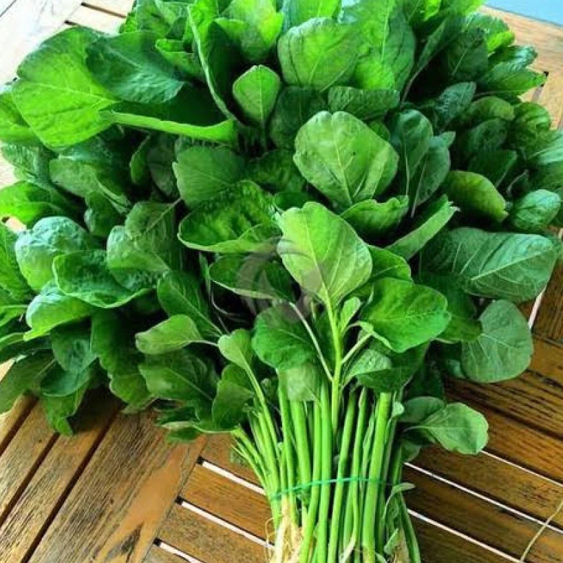 

Sayur Bayam Segar 1 Ikat - Bayam