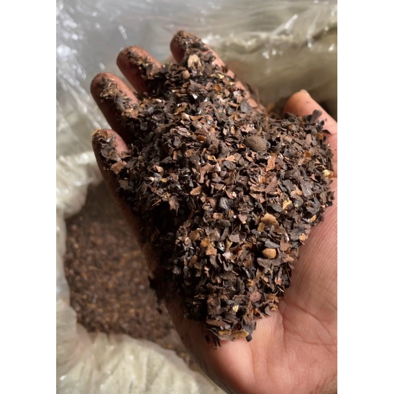 

Kulit Kopi Oven Asli Dampit - Kiloan bisa ecer/ grosir dijamin (TERMURAH) READY KIRIM SETIAP HARI!!
