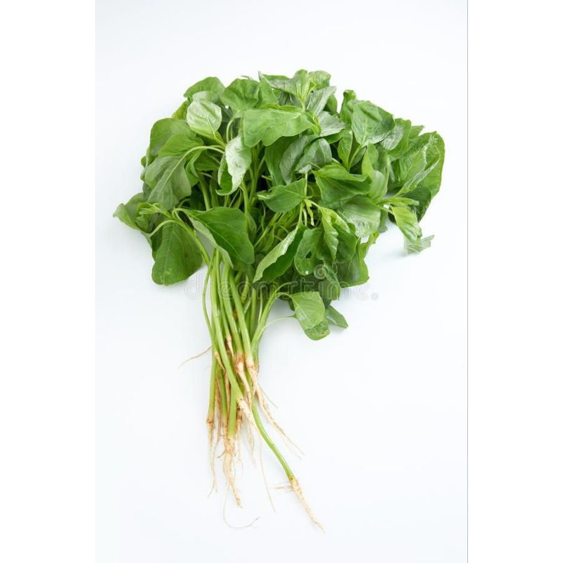 

Sayur bayam