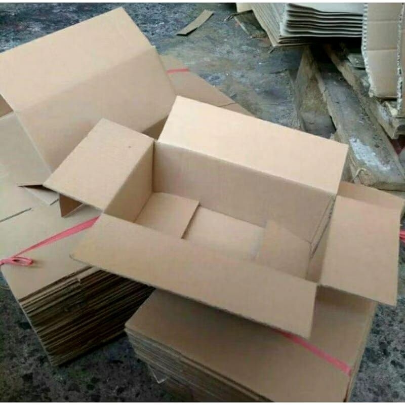 

Packing Kardus Tebal ( Untuk Keamanan paket TANAMAN anda )