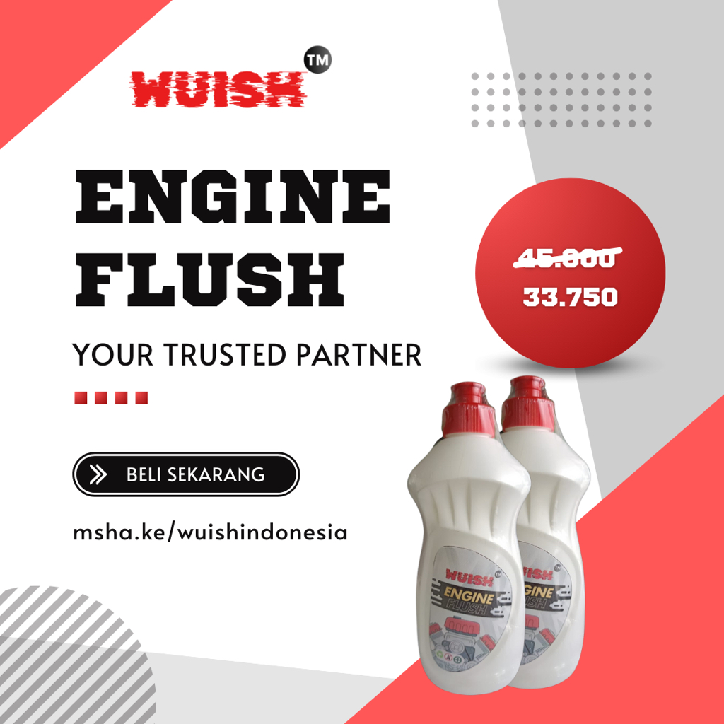 Wuish Engine Flushing 250ml