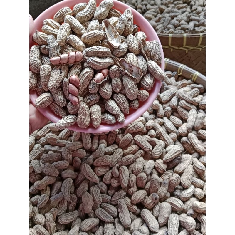 

KACANG KULIT SANGRAI PASIR 2 KILOGRAM