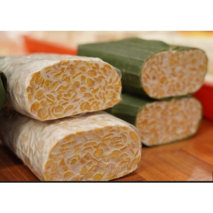

Tempe Ukuran Besar / Big Tempe