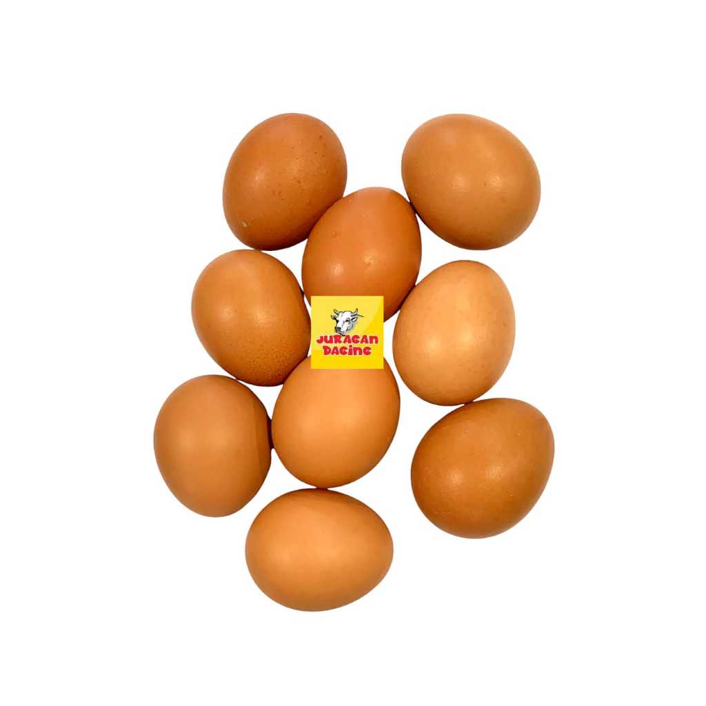 

Telur Ayam Negeri Fresh isi 10 Butir