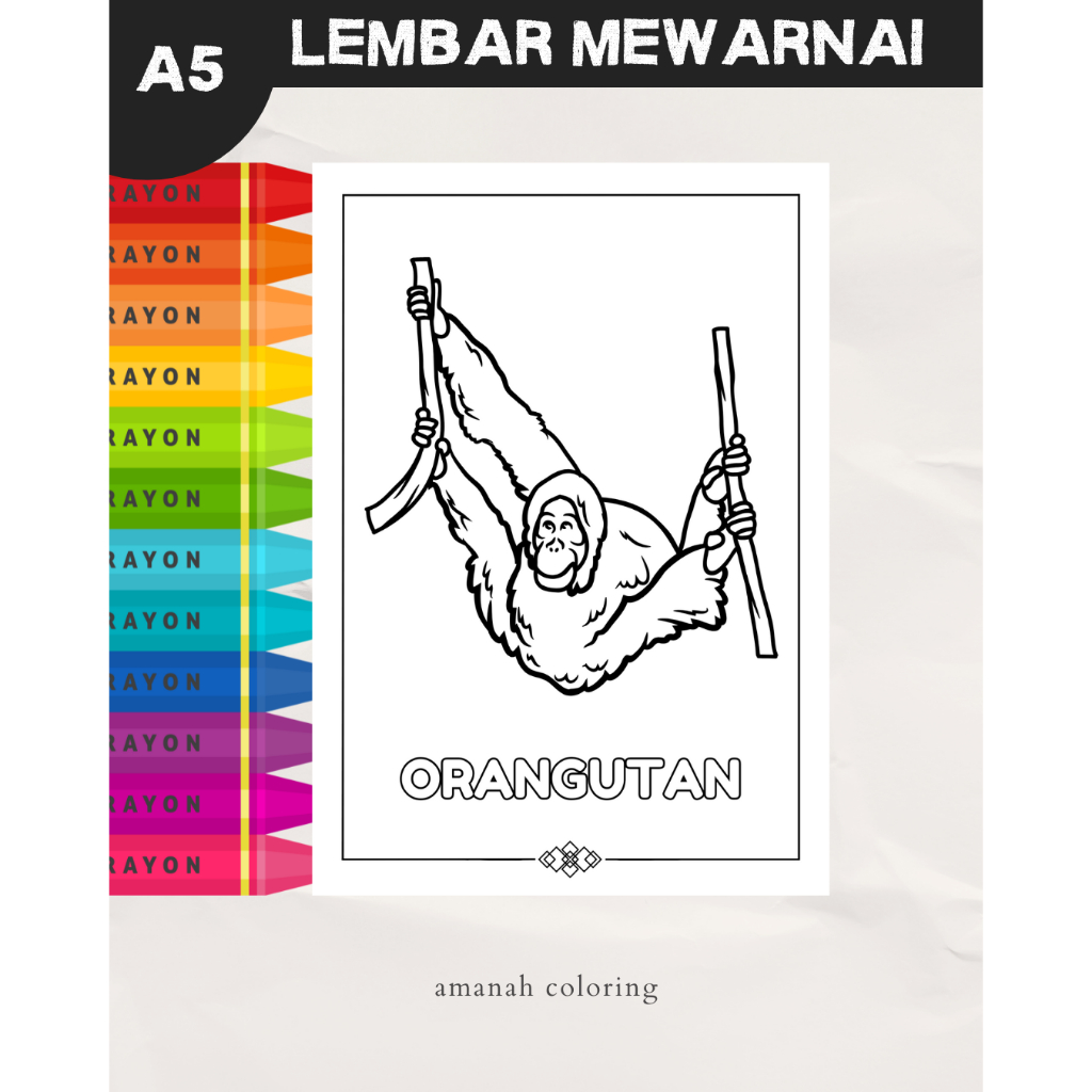 

CB-05 Lembar Gambar Mewarnai Hewan Untuk Anak TK SD PAUD Kertas HVS 100gr Bukan Buku Mewarnai
