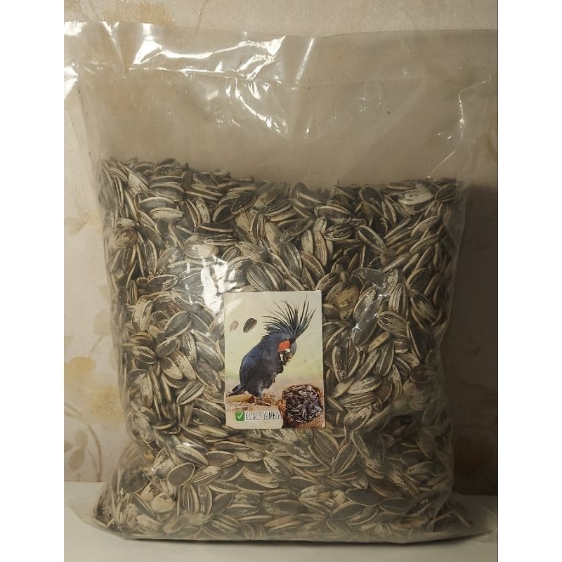 

KUACI JUMBO, UKURAN JUMBO KHUSUS PAKAN BURUNG PARUH BENGKOK YG BESAR, BERAT 1 Kg