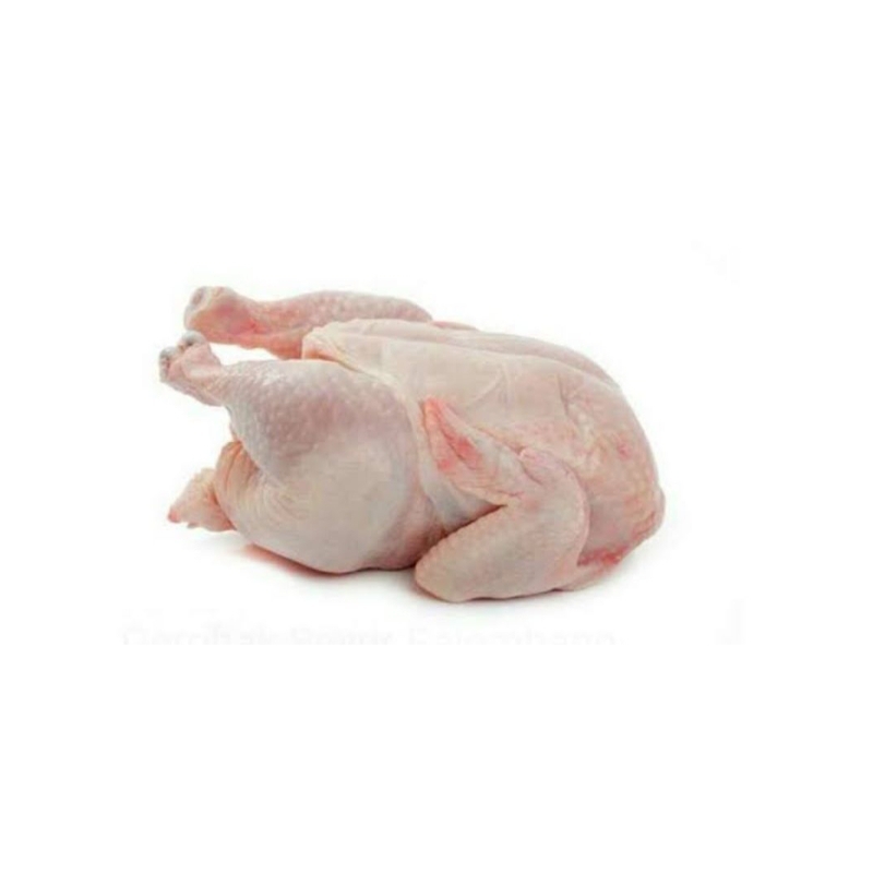 

ayam potong