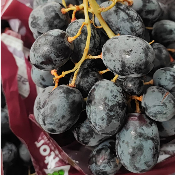 

angggur hitam autum seedless (tanpa biji)
