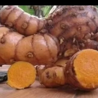 

temulawak asli organik 500gram