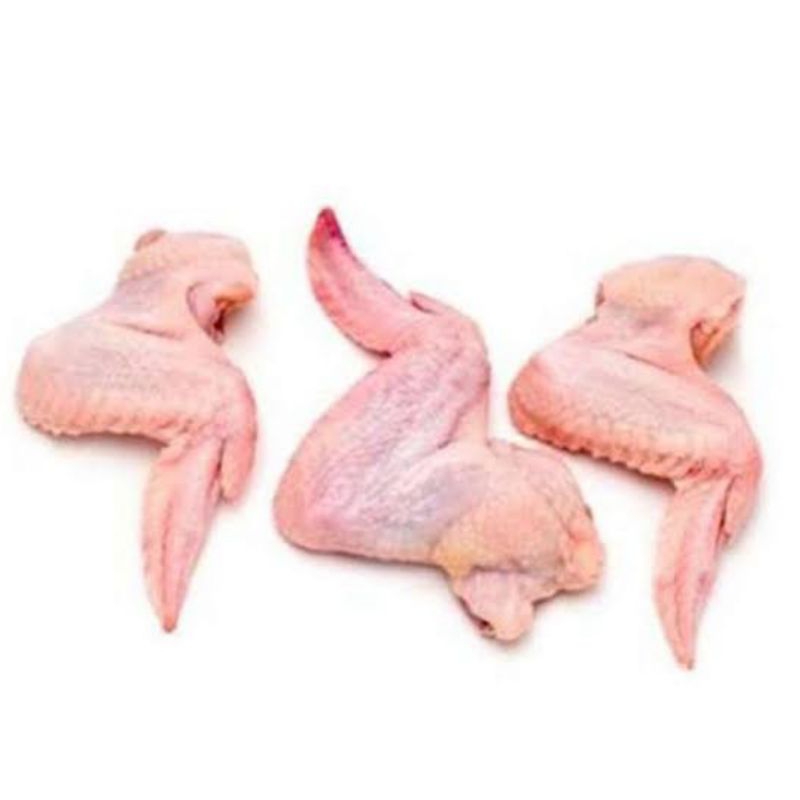 

sayap ayam