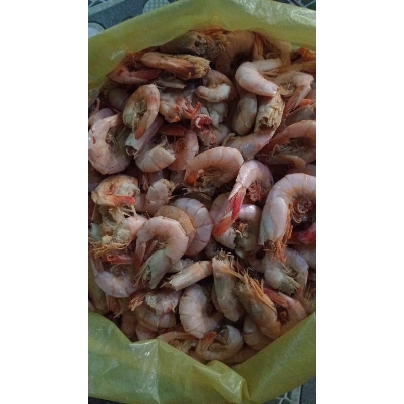

udang kasar Asin