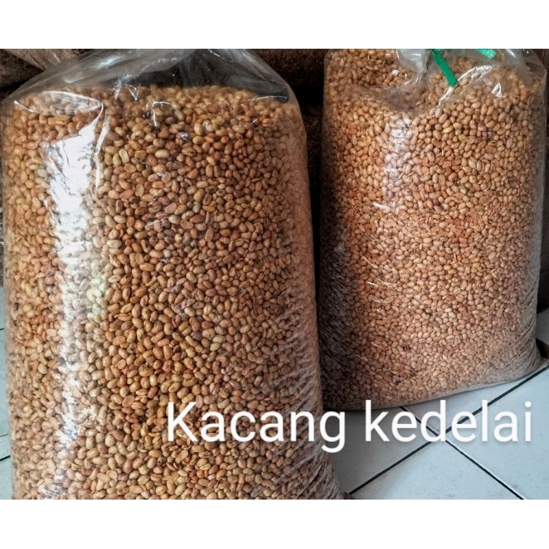 

KACANG KEDELAI GORENG SIAP SAJI 10KG
