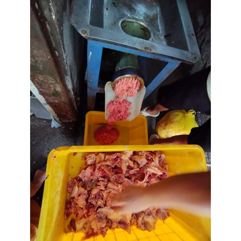 

TULANG PUNGGUNG GILING