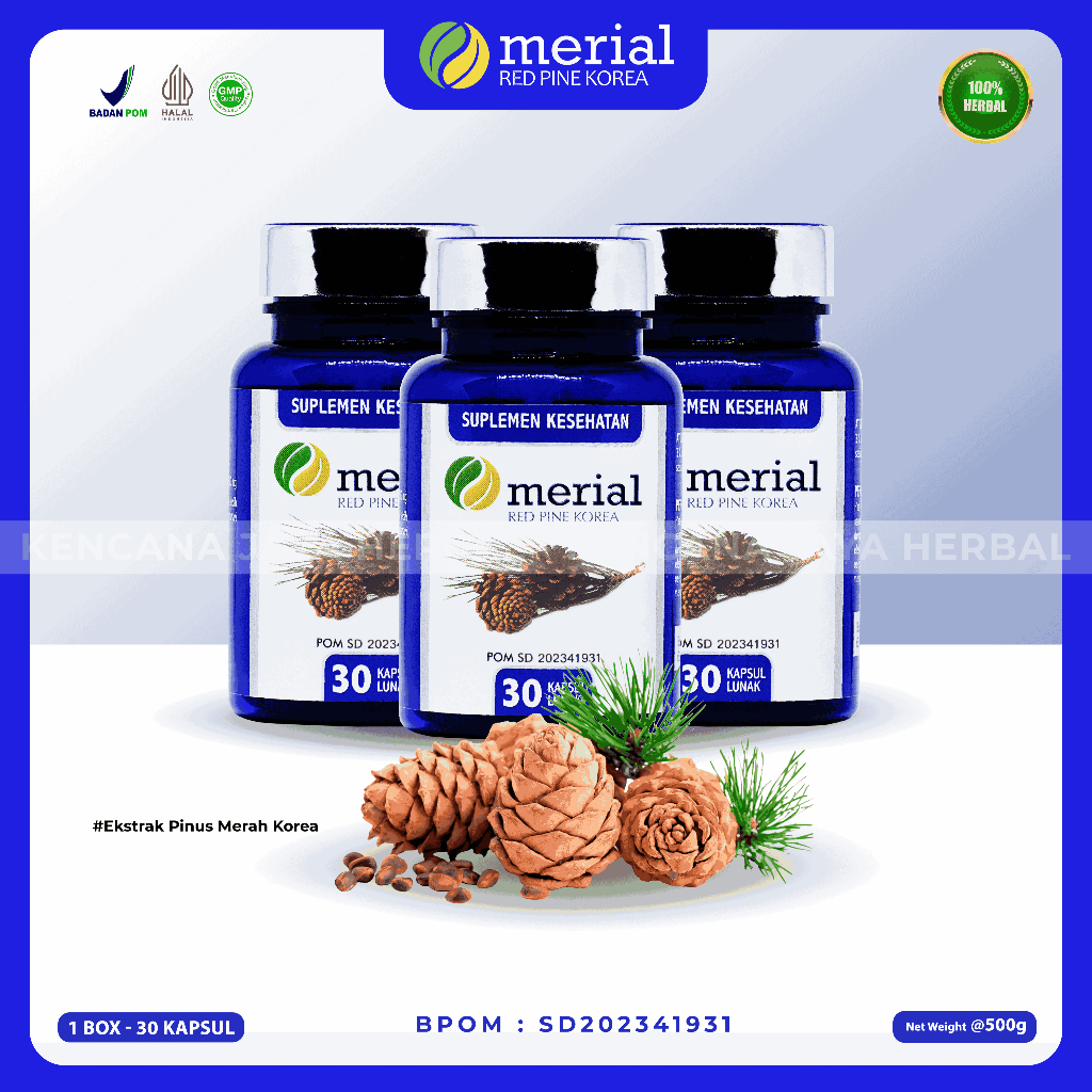 MERIAL RED PINE - PAKET 3 BOX / Merial Obat Kolesterol