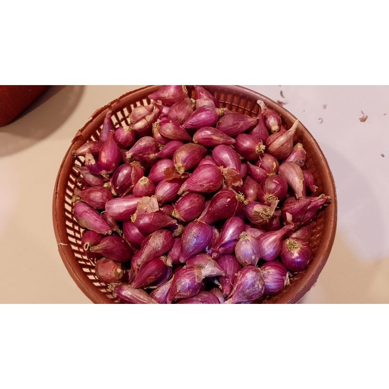 

BAWANG MERAH BREBES KERING UKURAN SEDANG 5KG