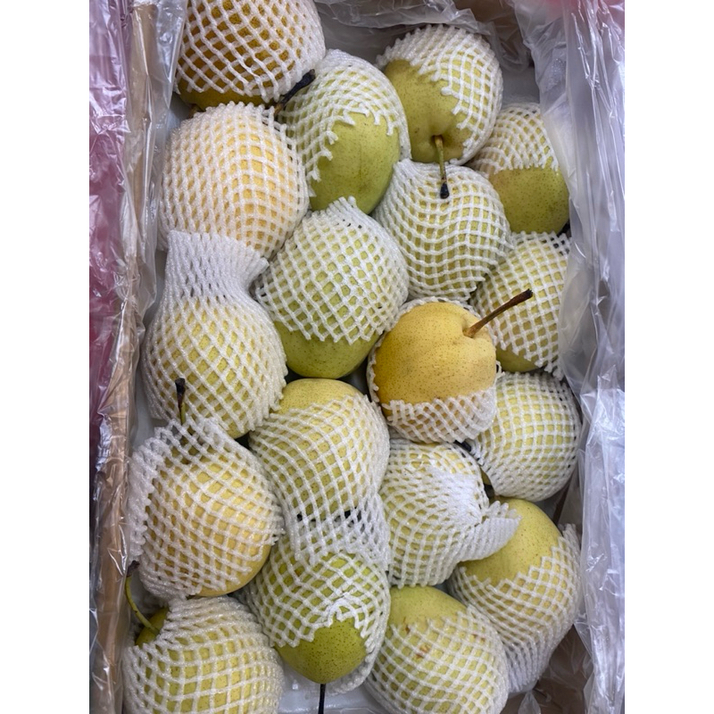 

buah Pear shandong gift 1 dus isi 18 buah