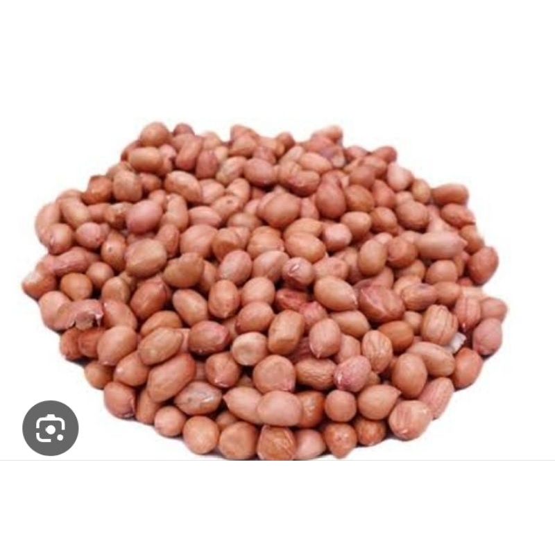 

KACANG TANAH MENTAH