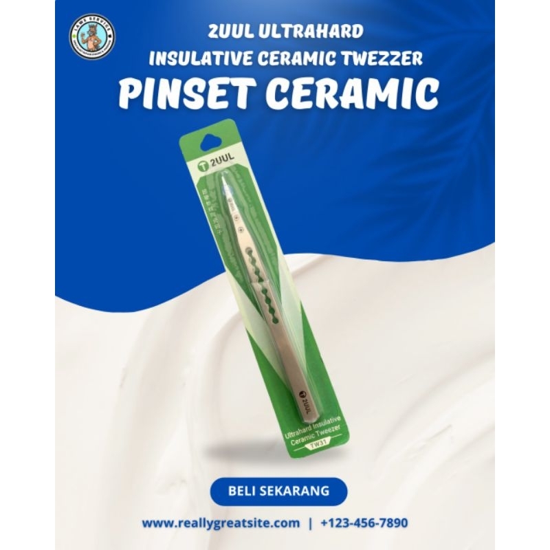 PINSET CERAMIC 2UUL TW31