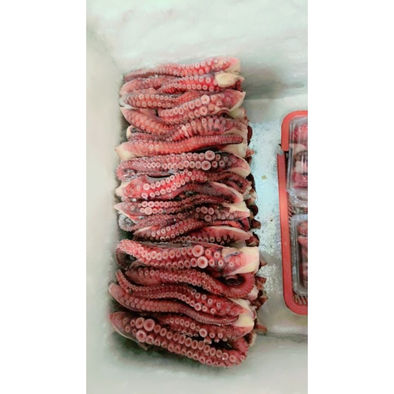 

Tako Leg size M dan L/1Kg