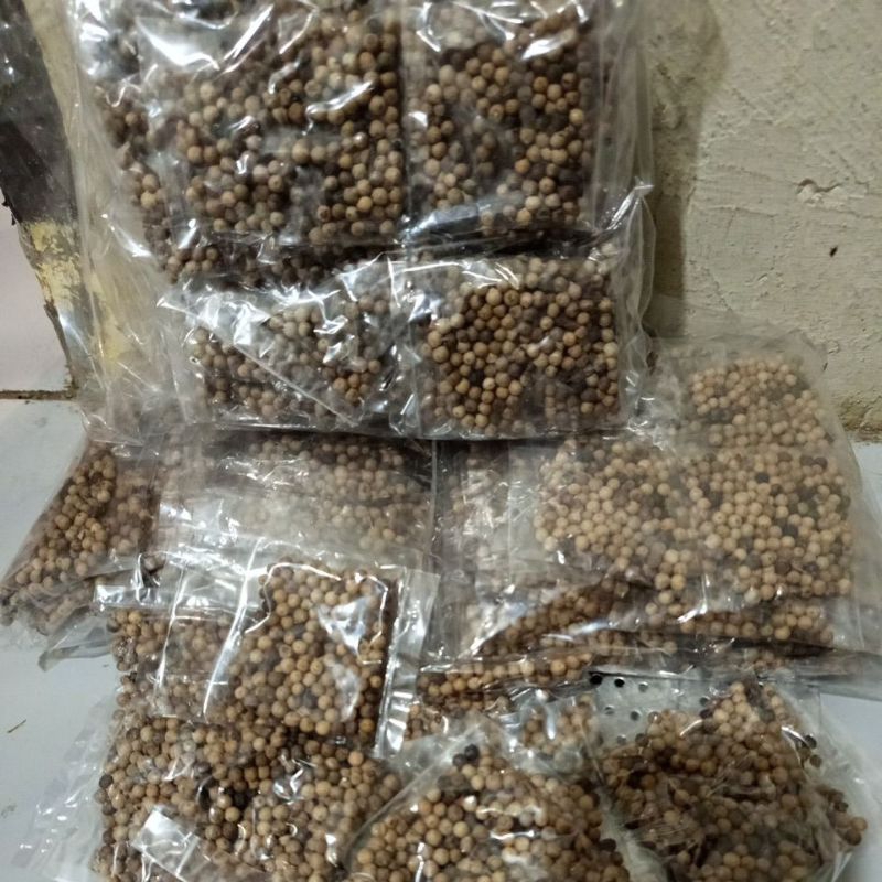 

MERICA /lada butir ECERAN 2500/PCS