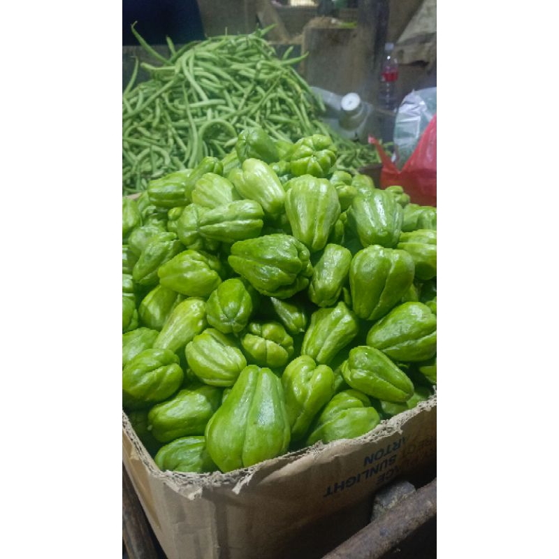 

Labu siam Baby kecil Segar 1kg