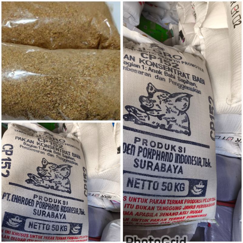 KONSENTRAT CP152 ANAK BABI SAPIHAN PAKAN HEWAN PENGGEMUKAN PEMBESARAN HEWAN TERNAK
