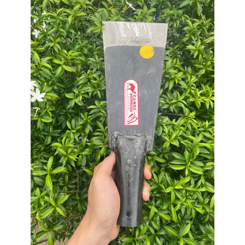 dodos camel rjm original malaysia