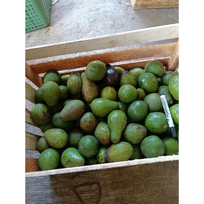 

AFGC Alpukat Mentega 1kg Isi 3 - 4 Butir Kuning Dagingnya Tebal