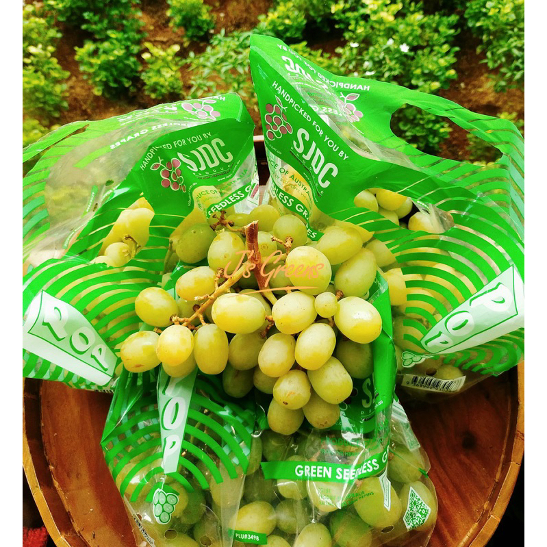 Anggur King Autumn Green Australia