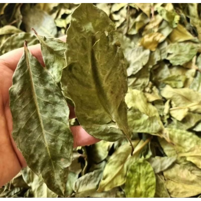 

daun salam kering 100gram berkualitas bagus+tinggi