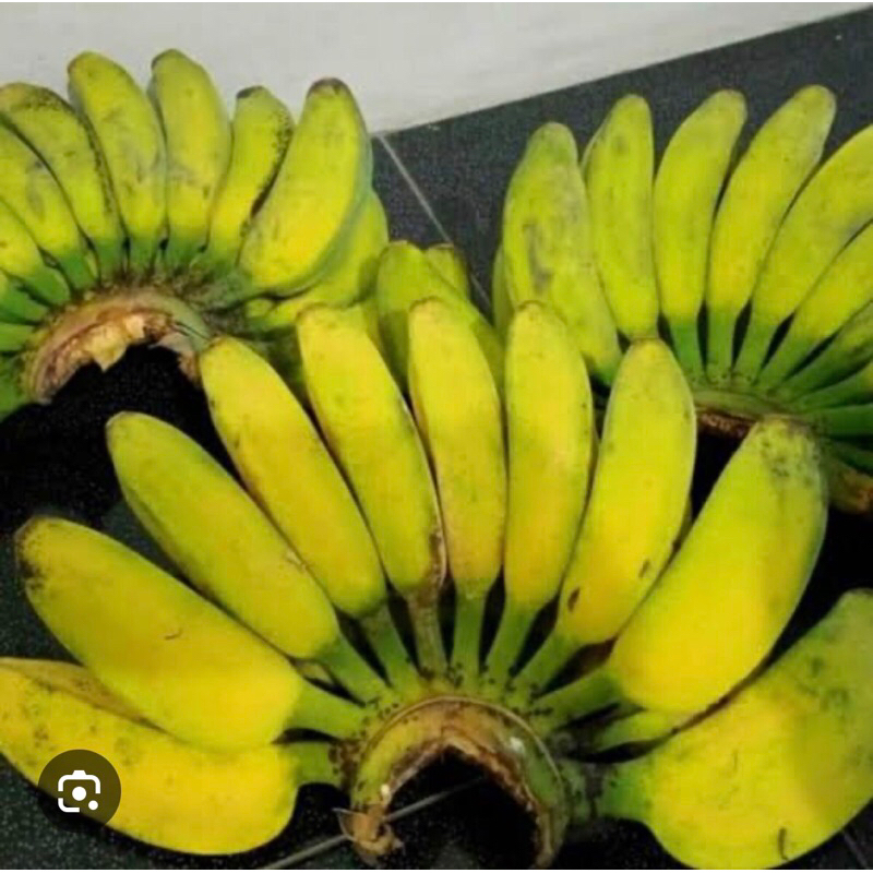 

1 sisir buah pisang kepok isi 12-20 bji / gepok