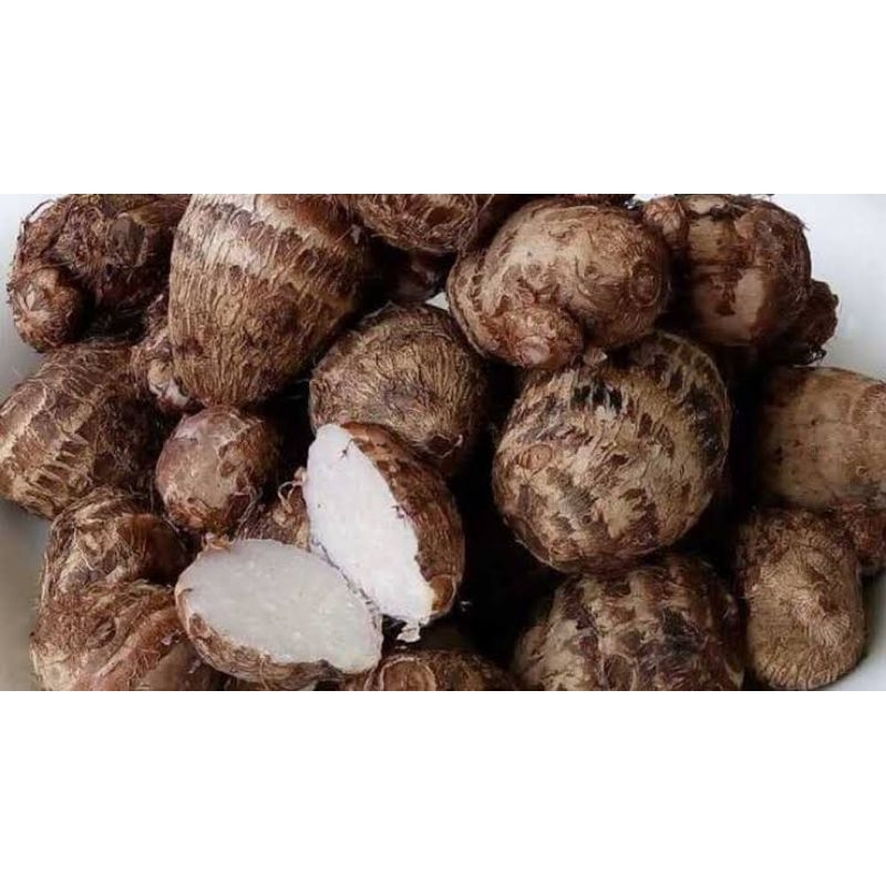 

umbi talas Banten 1kg