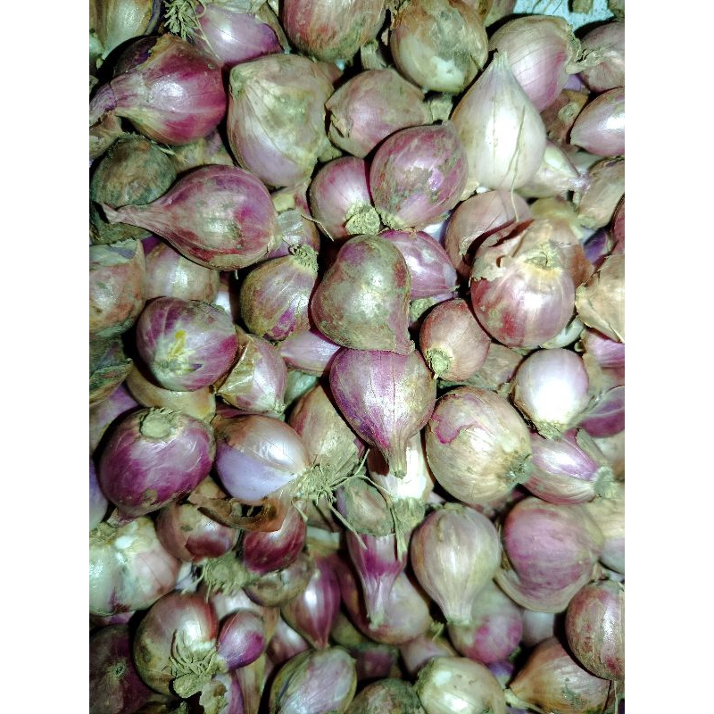 

Bawang merah murah