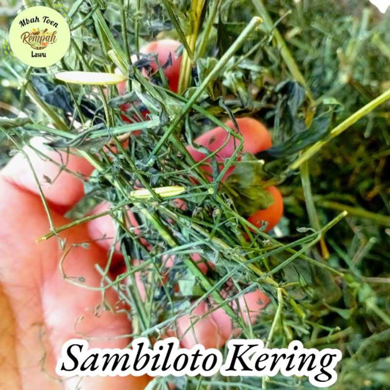 

Daun Sambiloto Kering 1Kg/Sambiloto Kering Bersih 1kg