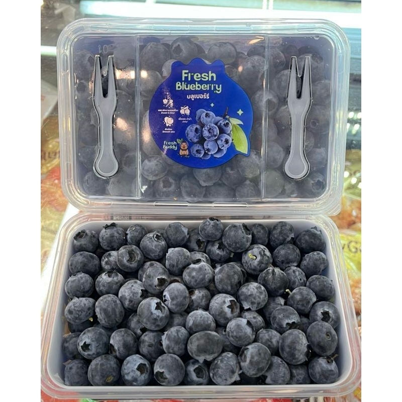

Buah Blueberry RRC Fresh Buddy Per Pack