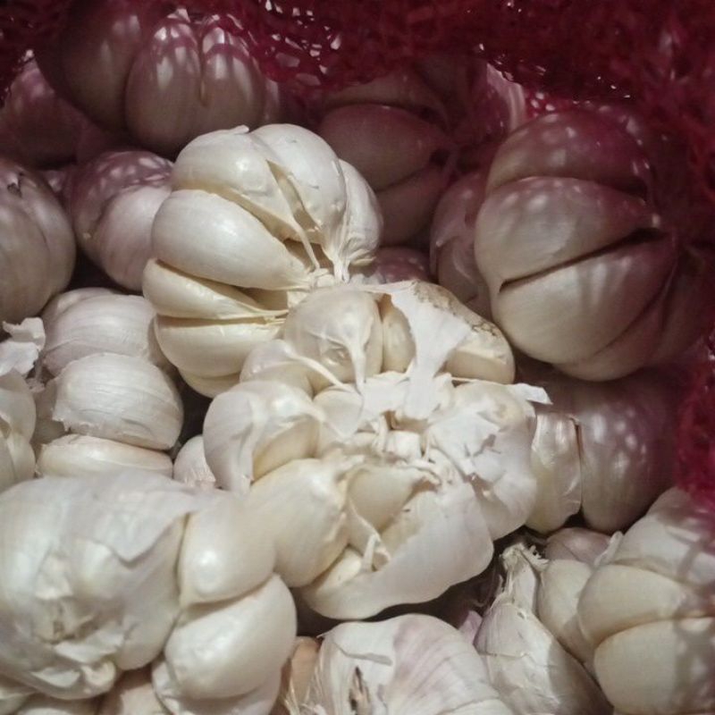 

BAWANG PUTIH KERING MURAH BERKUALITAS