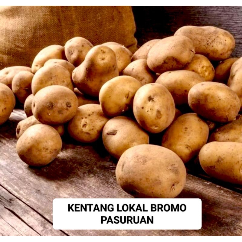 

KENTANG LOKAL BROMO PASURUAN TANGGUNG - Termurah