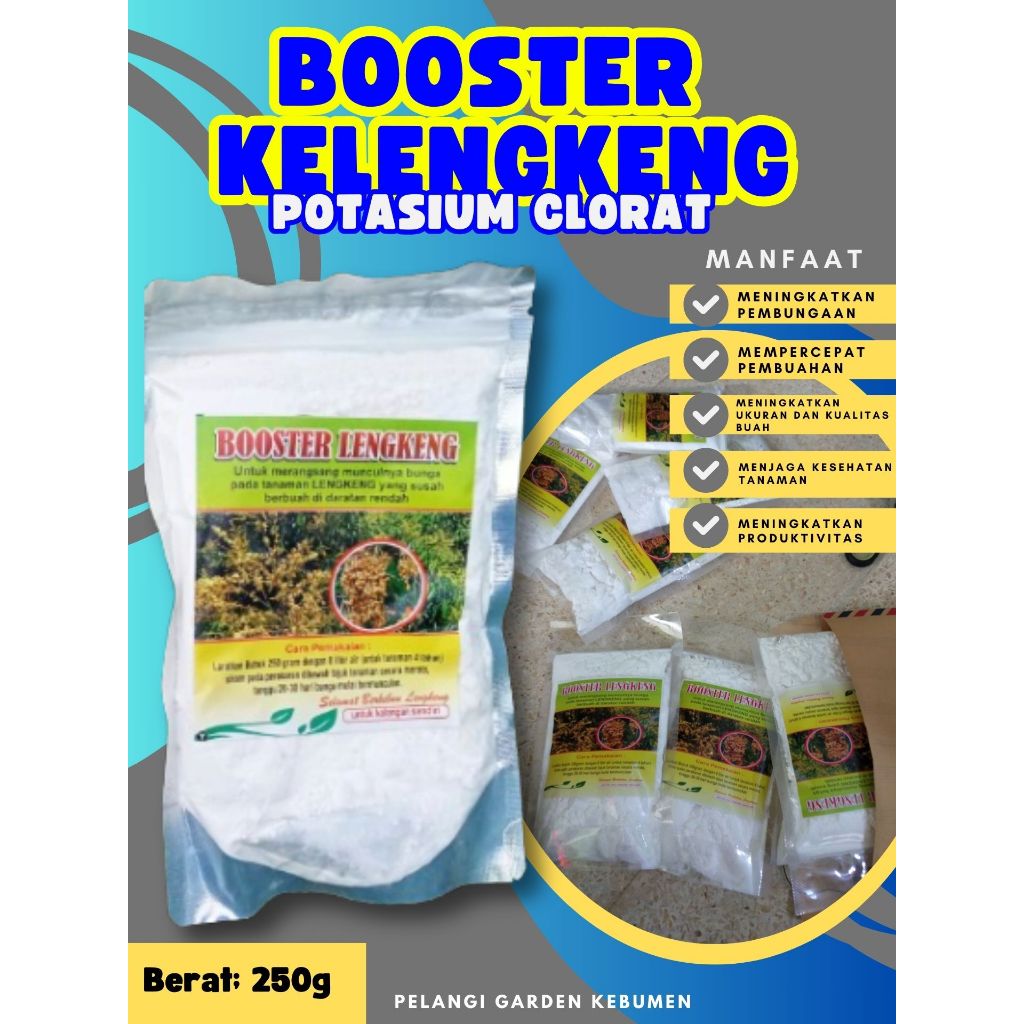 UNGGULAN  Booster Kelengkeng Stek, Booster Kelengkeng Terbaik
