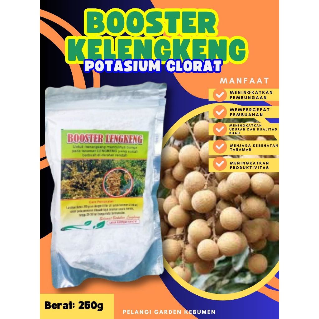 SOLUSI AMPUH  Boster Kelengkeng New Kristal Cangkok, Boster Kelengkeng New Kristal Berbuah