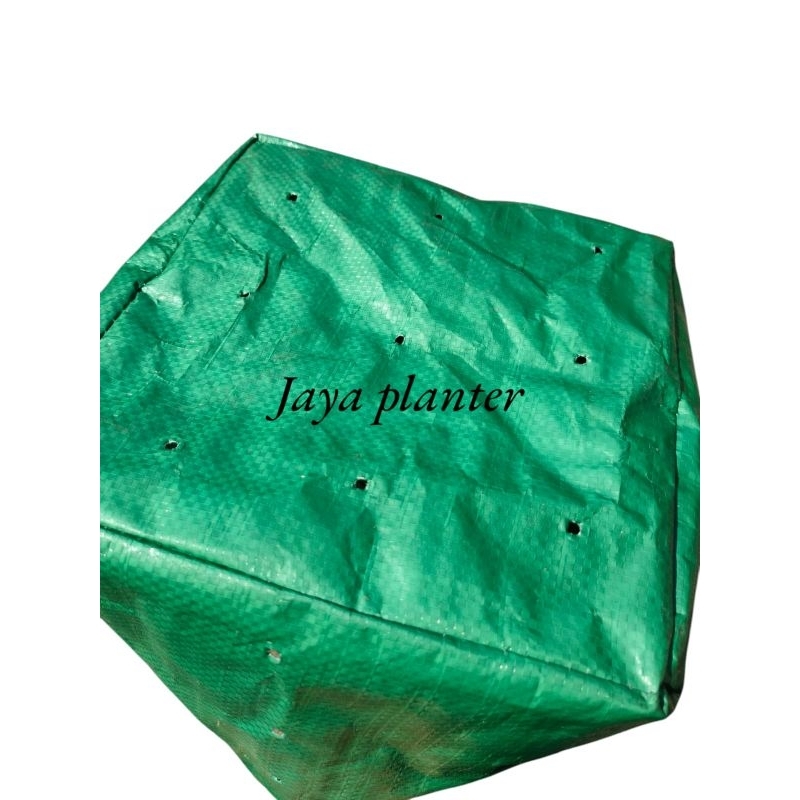 Raflezia Planter Bag 100 Liter Hijau 50X50 Premium