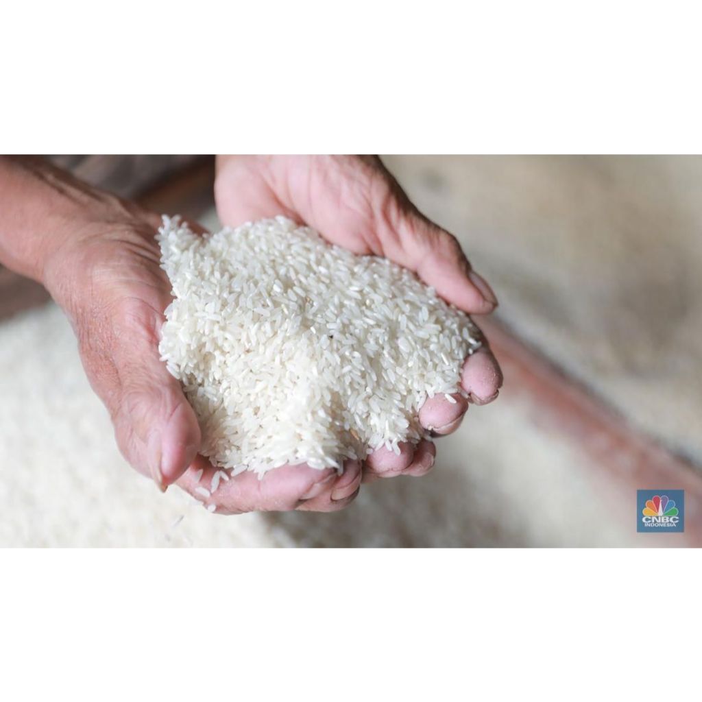 

Beras 5KG/Beras Baru langsung dari petani, Beras wangi