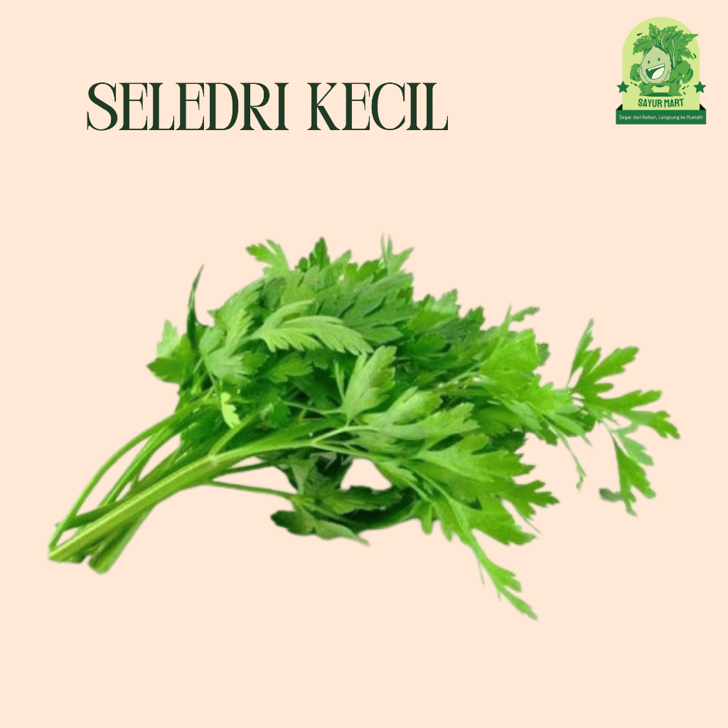 

Seledri Kecil 200 Gram
