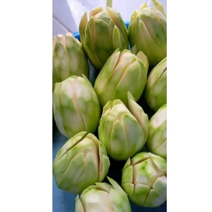 

mangga muda kriuk/garing/masih kres 1kg