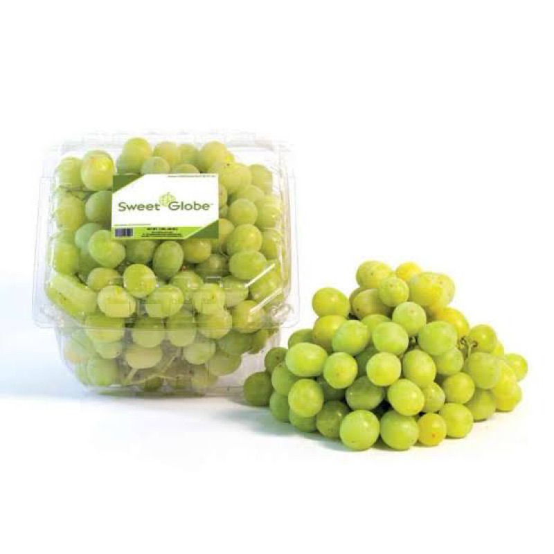 

Anggur Hijau Sweet Globe / Buah Import / Grosir buah Murah Jogja / Panen Buah / Buah Berkualitas