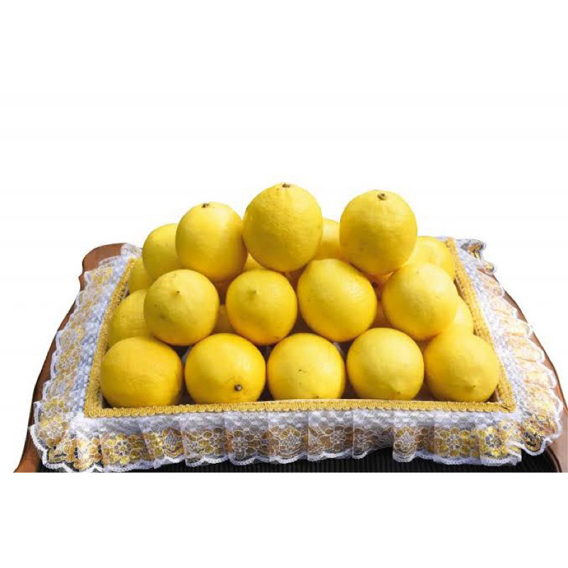 

J Lemon Premium / Buah Import / Grosir buah Murah Jogja / Panen Buah / Buah Berkualitas