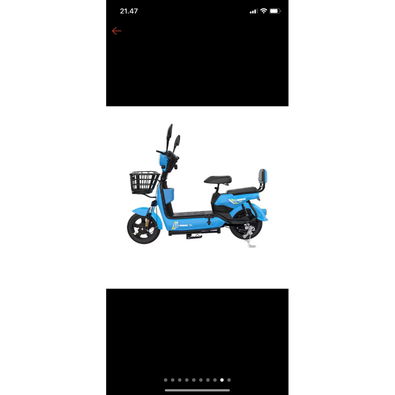 Sepeda listrik Geekman