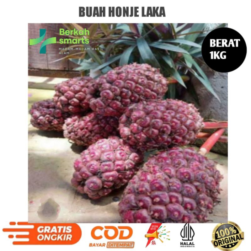 

buah honje laka-buah kecombrang merah 1kg COD (B_S)